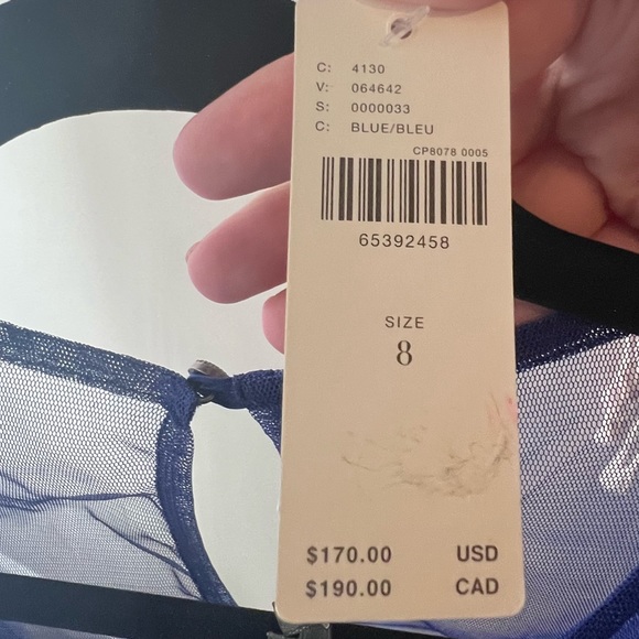 Anthro Sheer Ruffled Tulle Dress - Picture 3 of 3